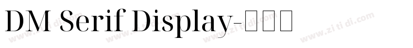 DM Serif Display字体转换